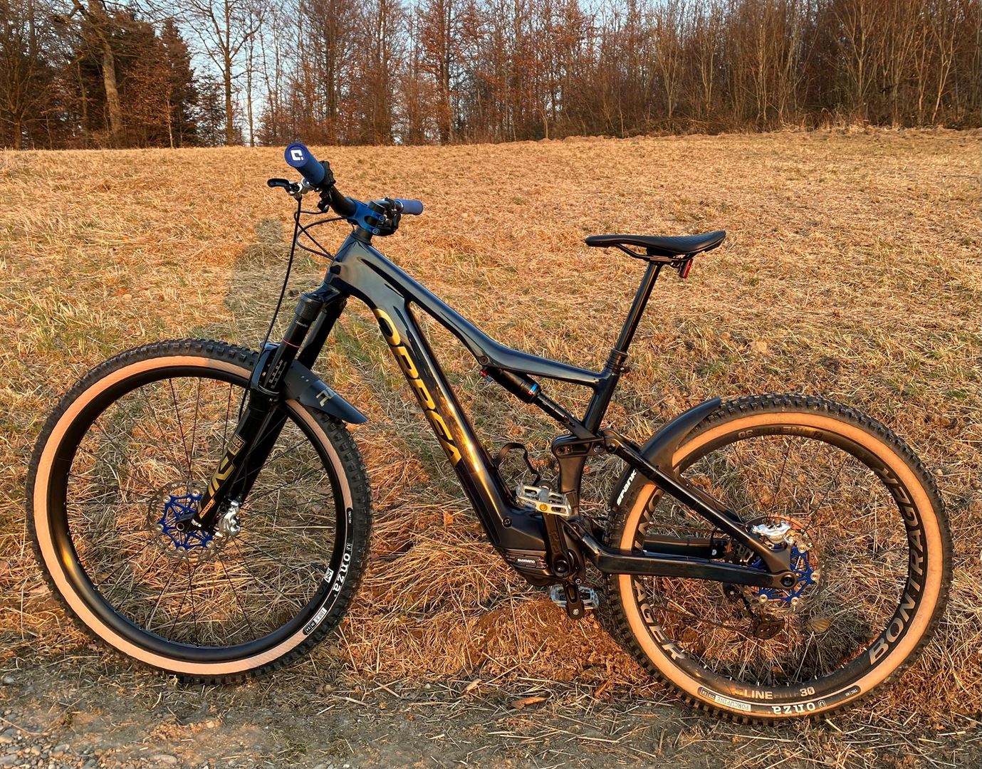 Orbea Rise M20 Custom 2021 - Bike Gallery | Traildevils