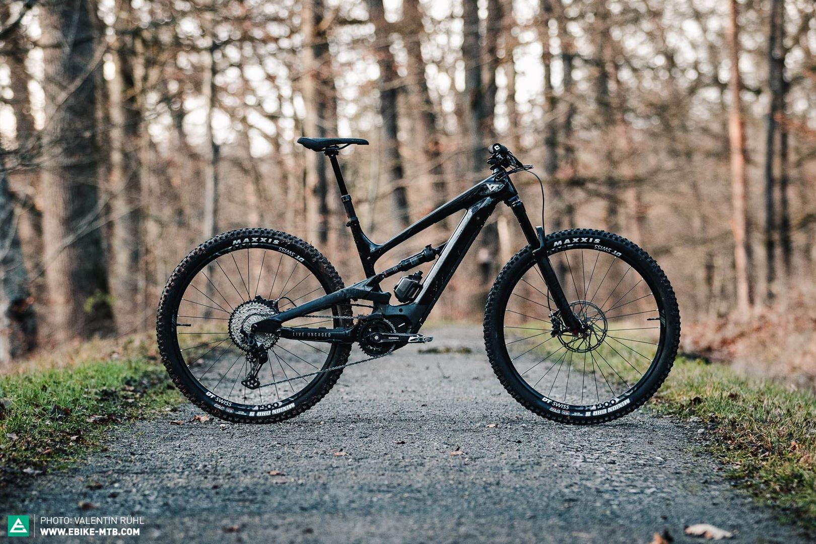 YTIndustries Decoy base 29 2020 Bike Gallery Traildevils