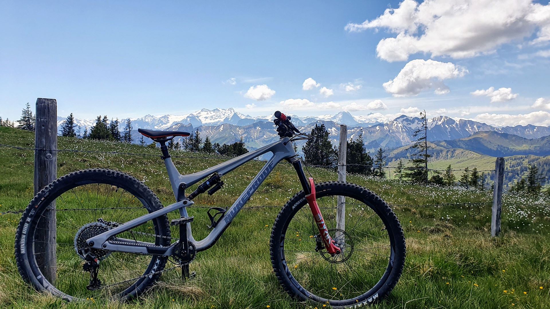 2020 nukeproof reactor