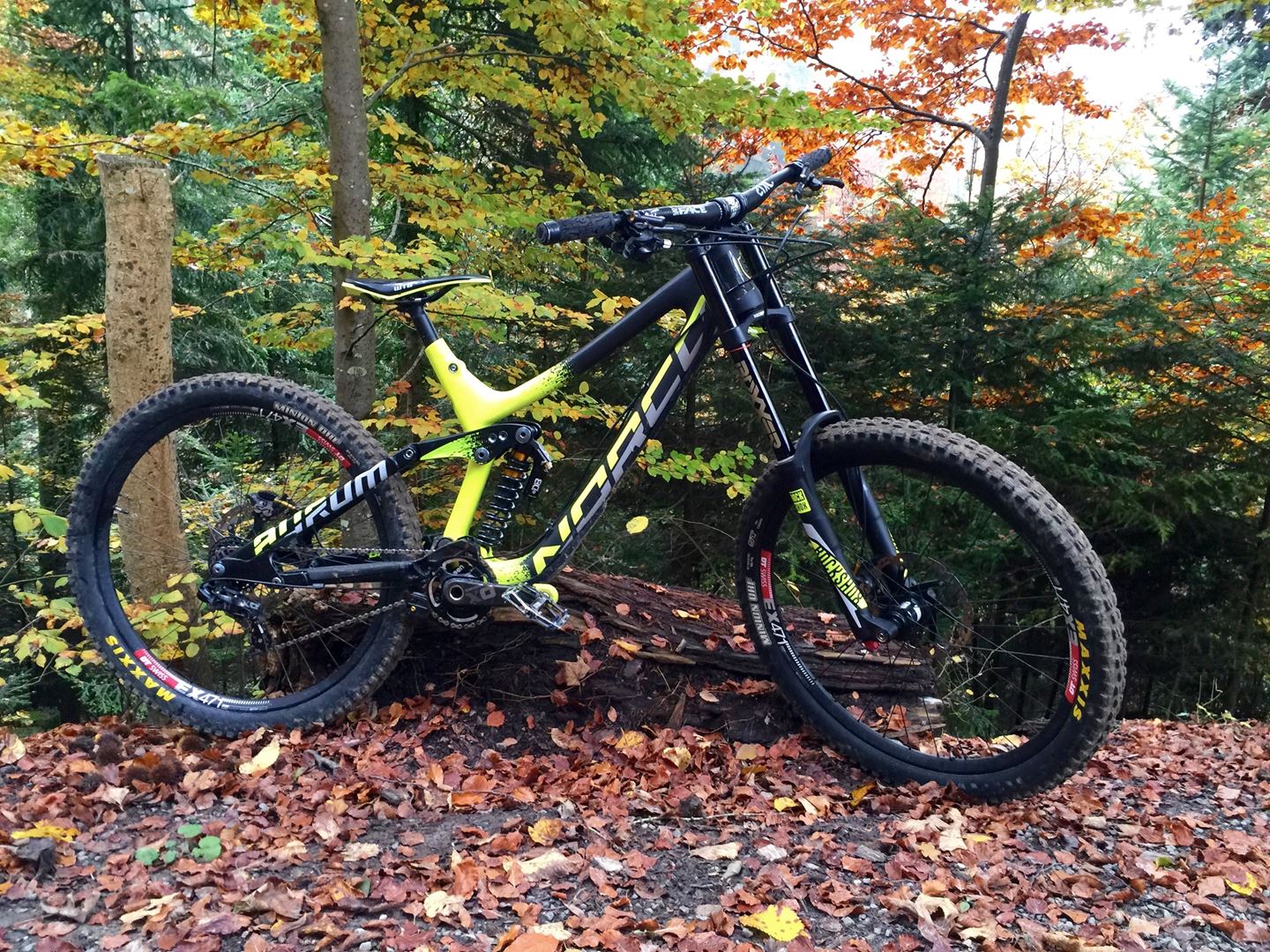 norco aurum 2015