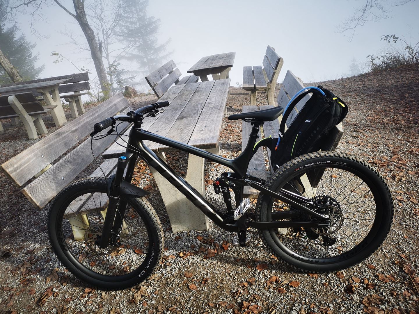 trek remedy 9.8 2019