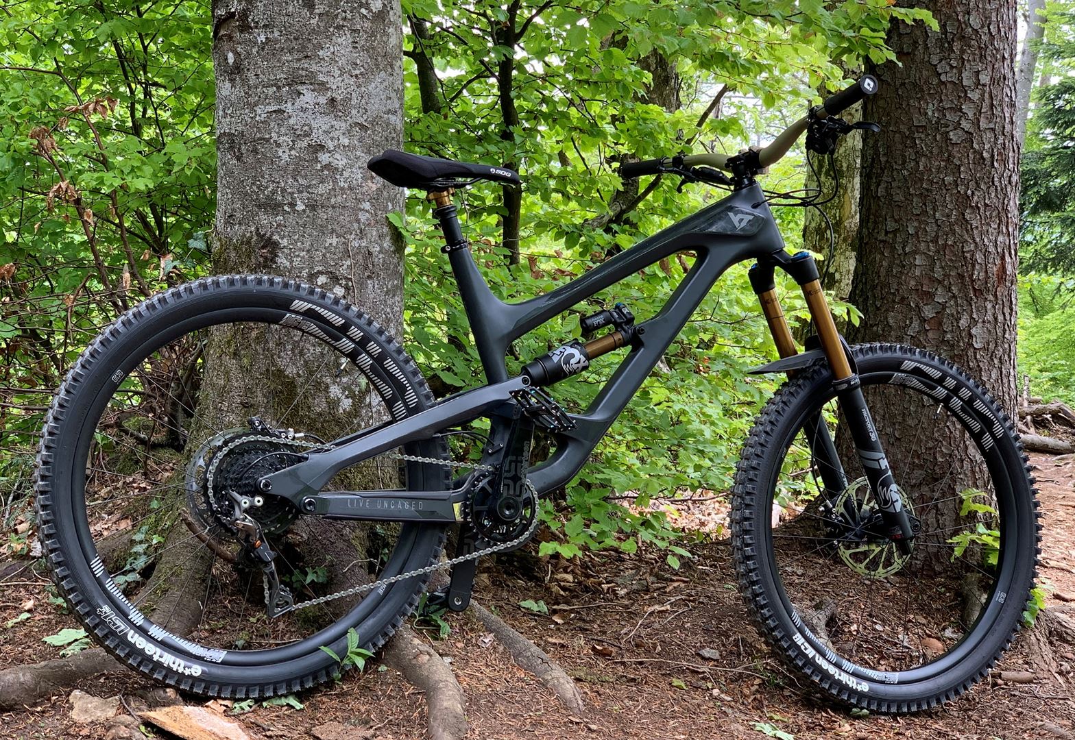 2019 yt capra cf pro race