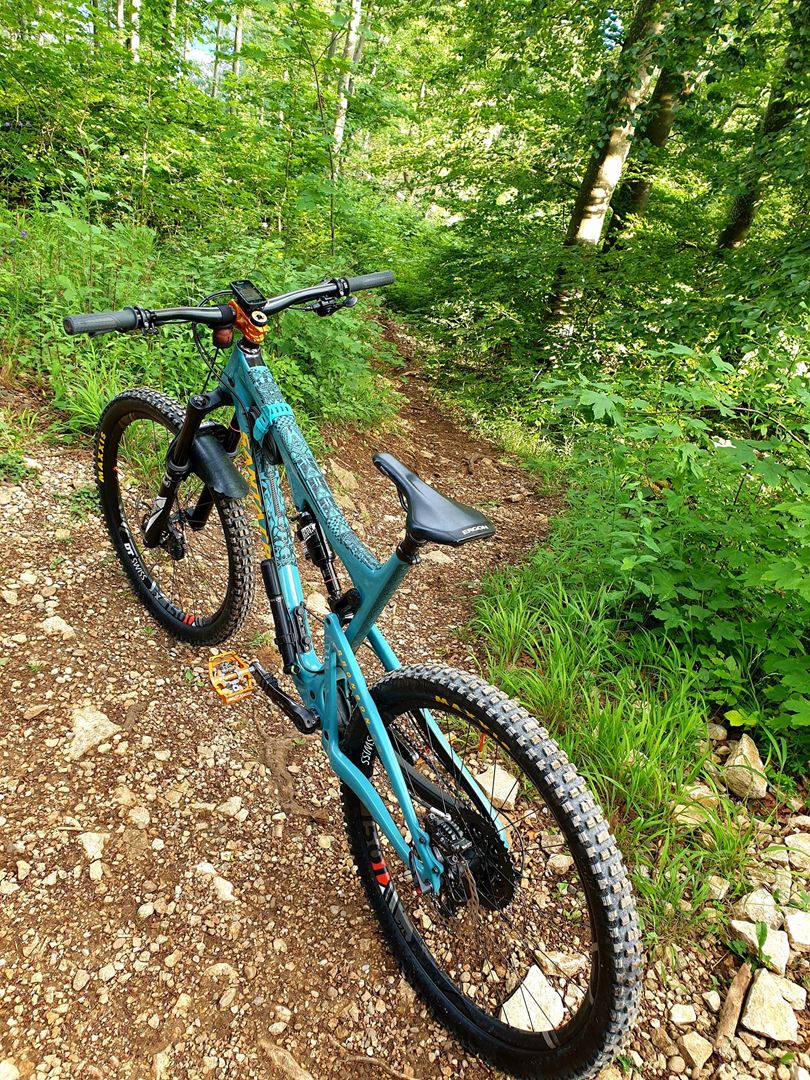 2015 santa cruz bronson blue book