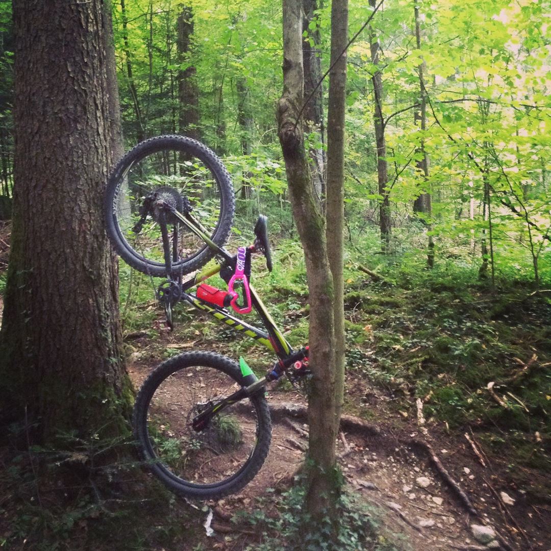 scott aspect 730 2014