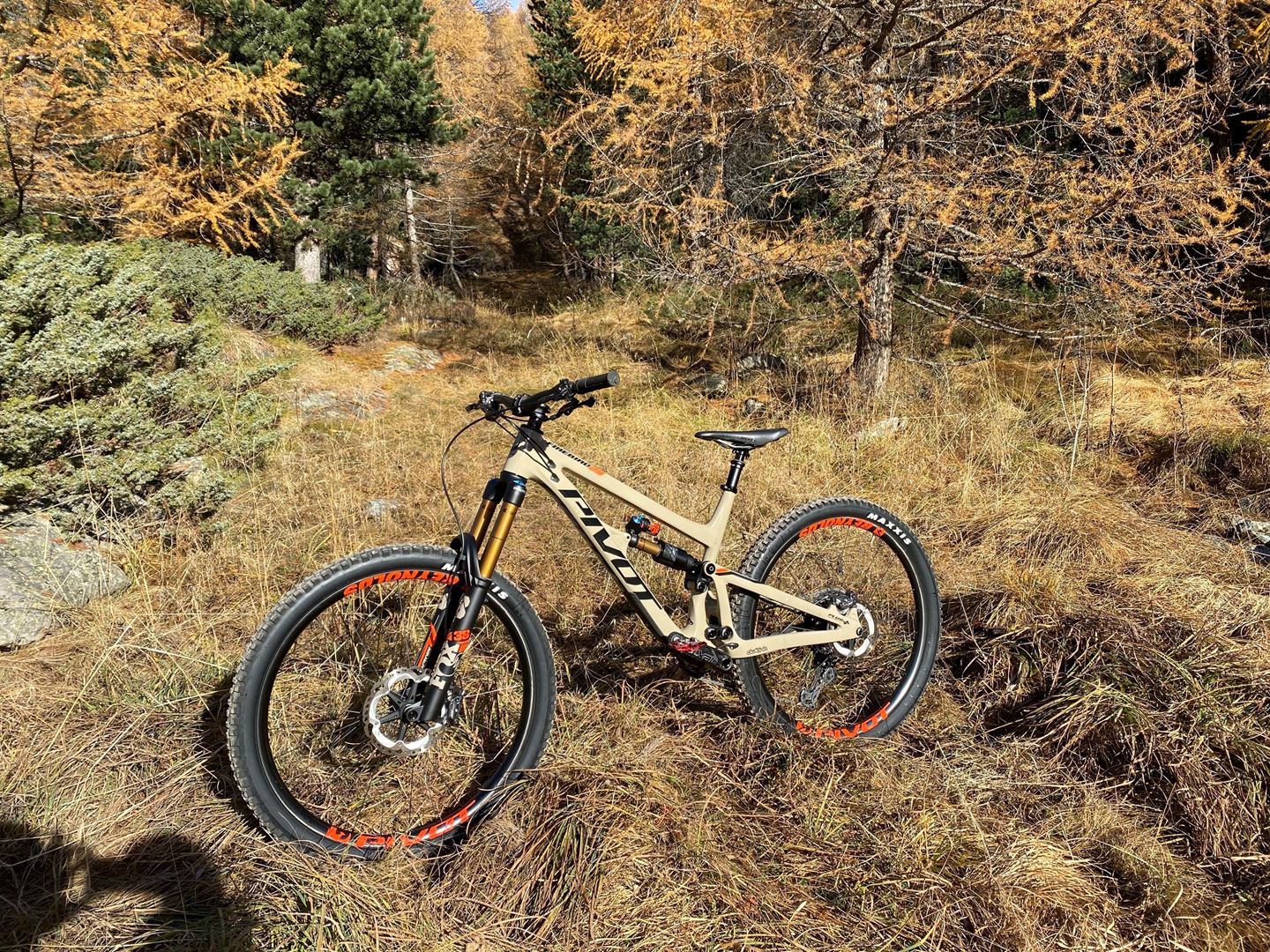 pivot-firebird-29-2021-bike-gallery-traildevils