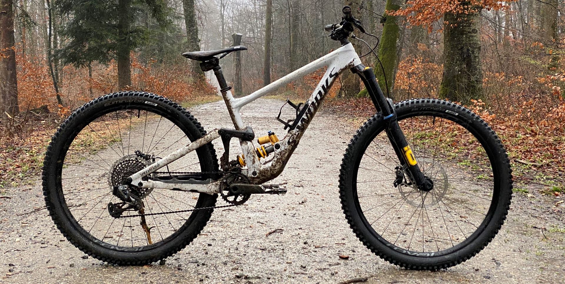 Specialized Enduro SWorks 2020 Bike Gallery Traildevils