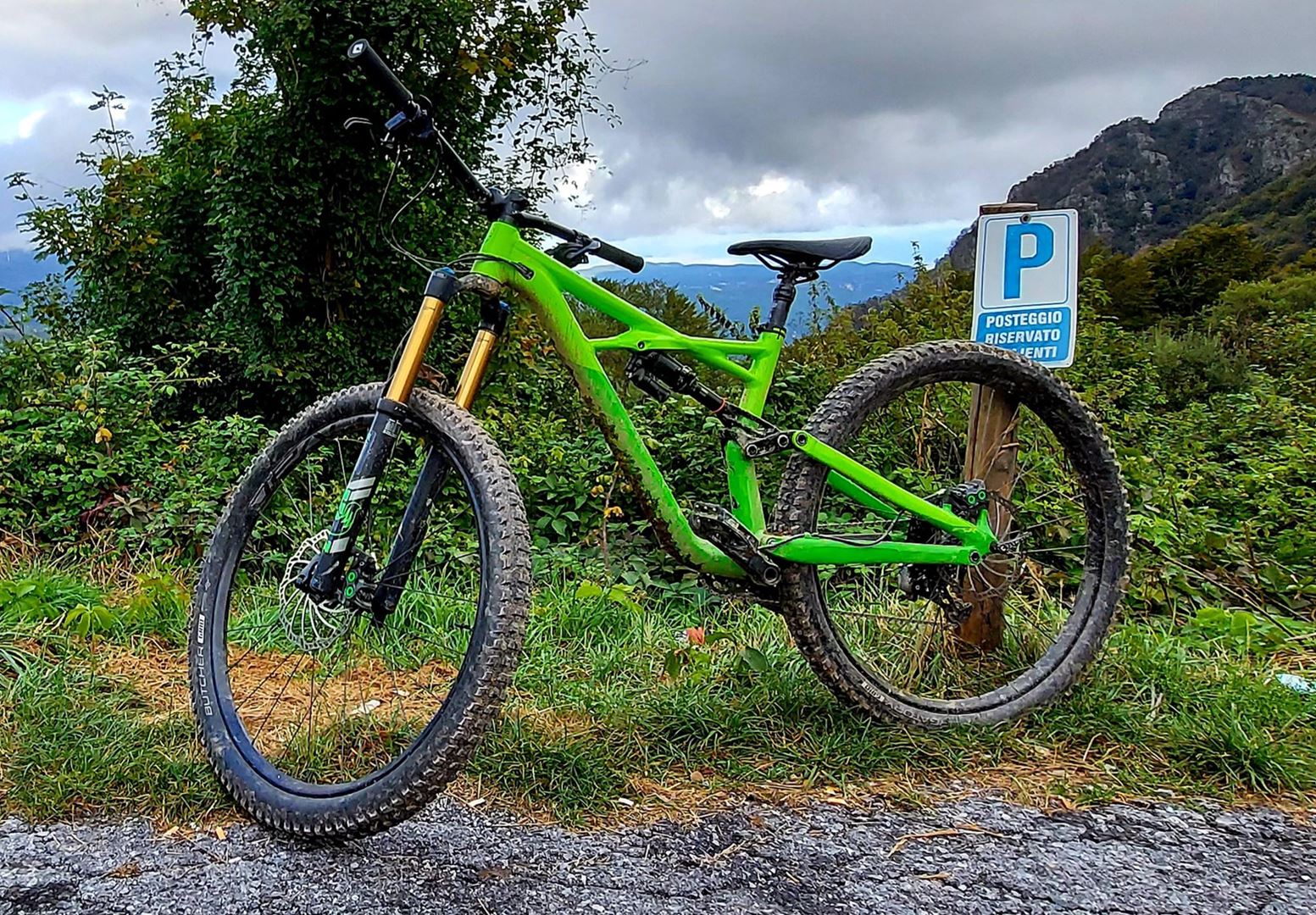 specialized enduro nz