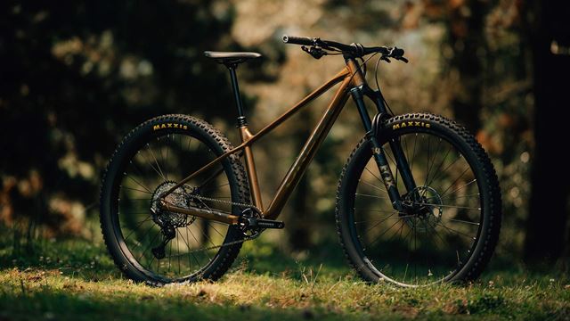 Trail hardtail store 29