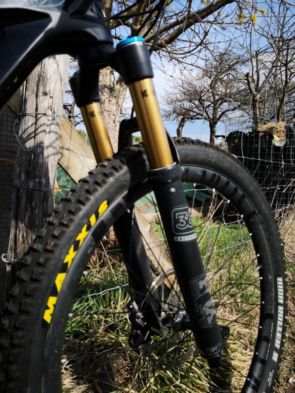 2016 yt capra cf pro