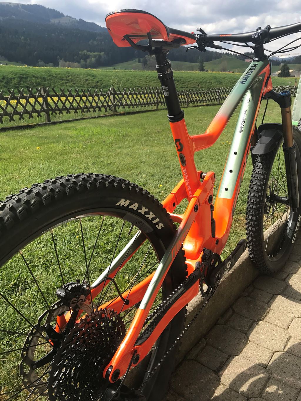 Scott Ransom Ultimate Custom Build mit 29'' oder 27,5'' wheelset für ...