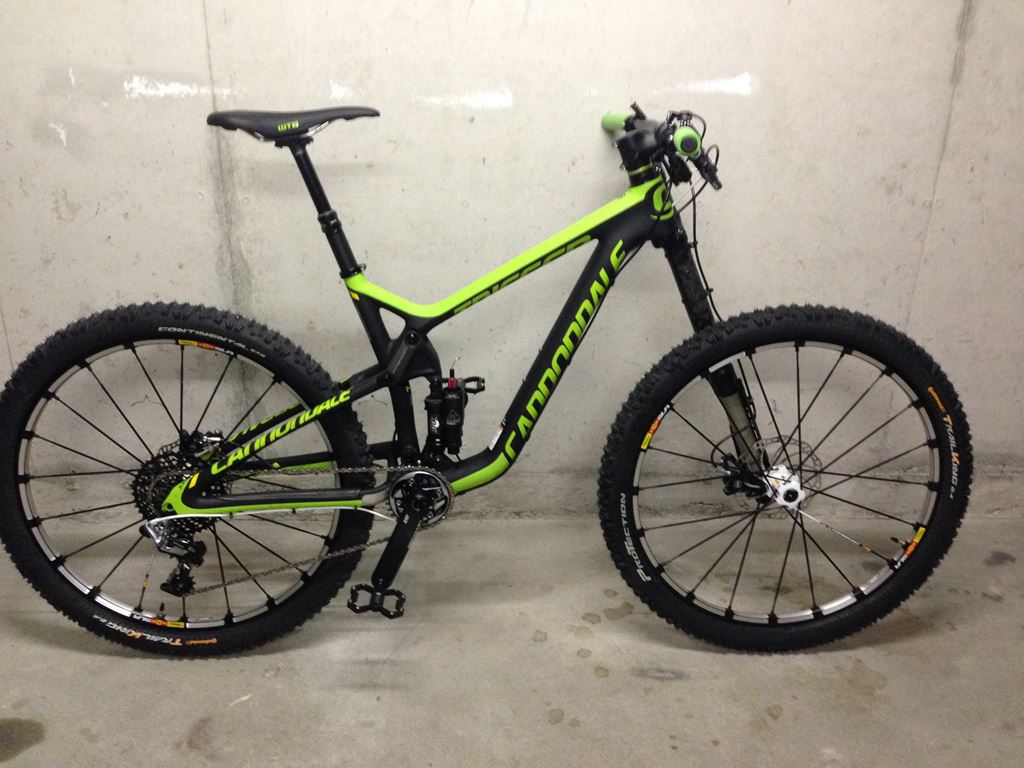 Cannondale trigger cheap team